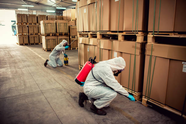 Best Local Pest Control Services  in Gentry, AR