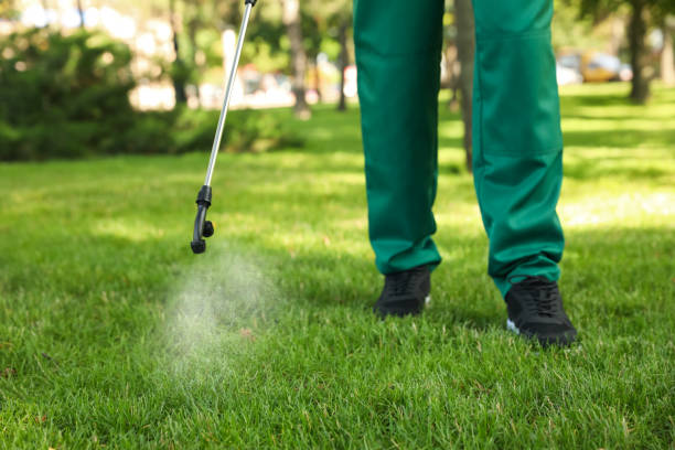 Trusted Gentry, AR Pest Control Experts