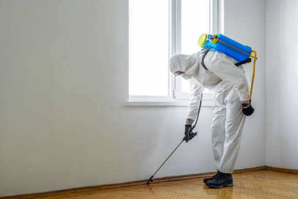 Best Residential Pest Control  in Gentry, AR