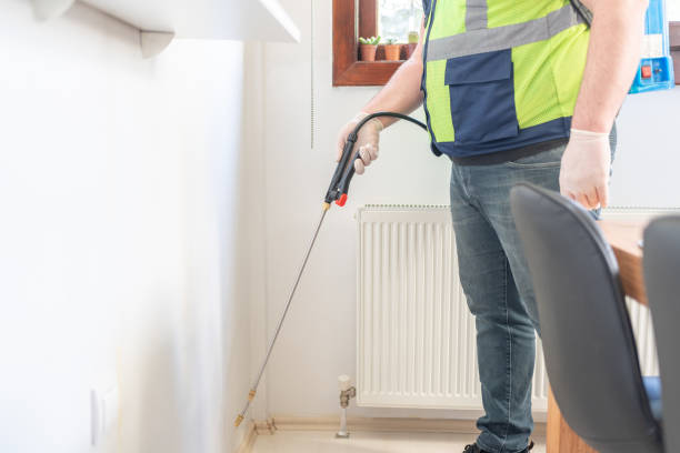 Best Termite Control Services  in Gentry, AR