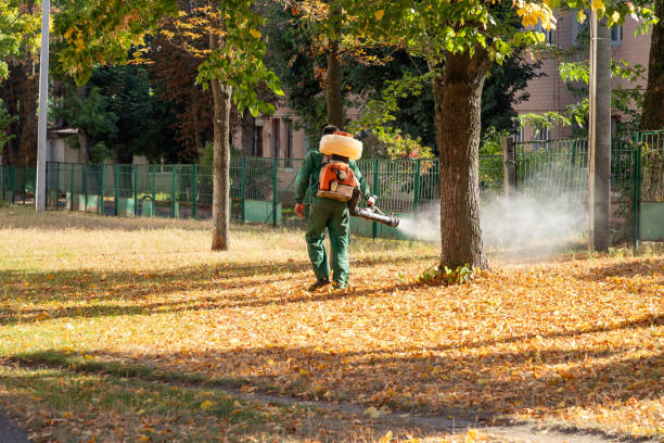 Best Pest Prevention Services  in Gentry, AR